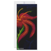 wildflower rack cards