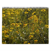 Wildflower Scripture Calendar
