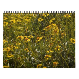 Wildflower Scripture Calendar calendar
