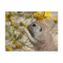 Wildflower Snack Postcard