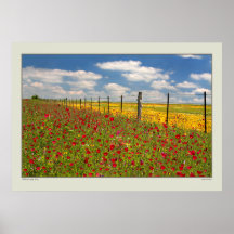 Wildflower Spring - Texas Print