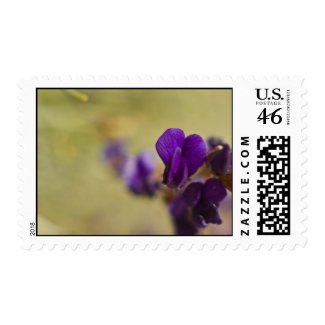 Wildflower Stamp 2 stamp