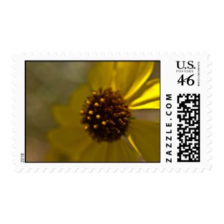 Wildflower Stamp 3 stamp