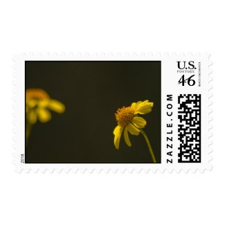 Wildflower Stamp 5 stamp