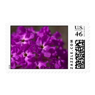 Wildflower Stamp 6 stamp