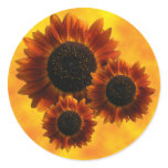 Wildflower Sunflowers Round Stickers