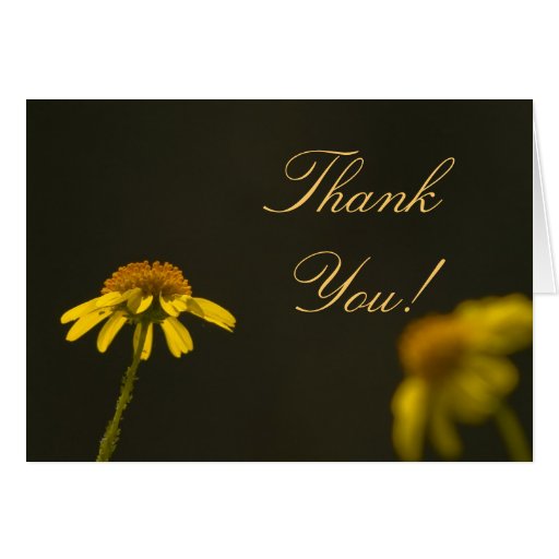 Wildflower Thank You Card 1 Zazzle