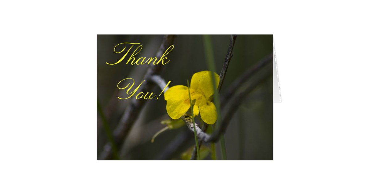 Wildflower Thank You Card 2 Zazzle