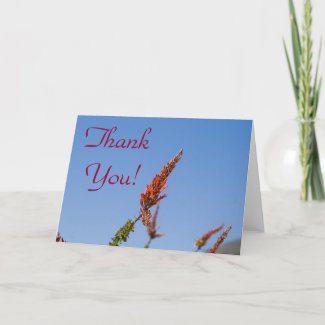 Wildflower Thank You Card 4 card