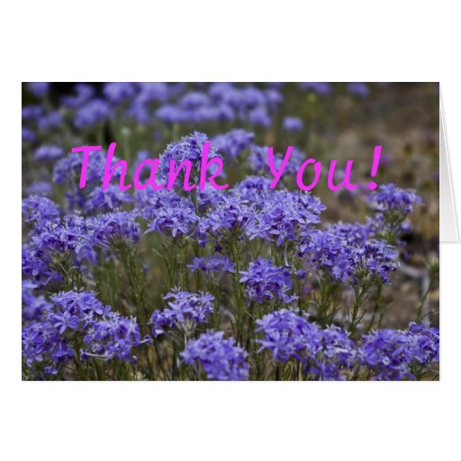 Wildflower Thank You Card 5 Zazzle
