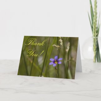 Wildflower Thank You Card 6 card
