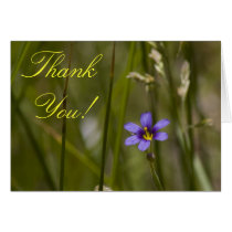 Wildflower Thank You Card 6 cards