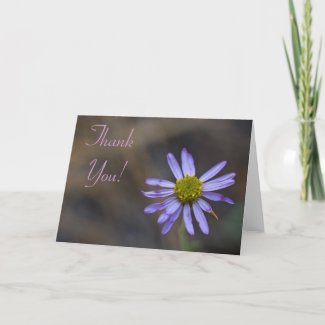 Wildflower Thank You Card 7 card