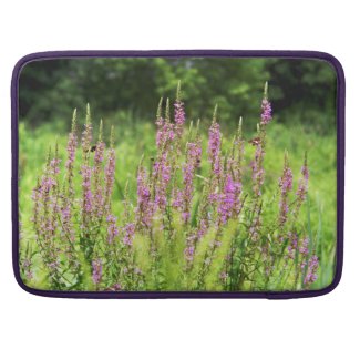 Wildflowers 15" MacBook Pro Sleeve