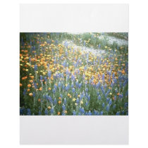 WILDFLOWERS 1 letterhead by LOOSIELUCY WILDFLOWERS 1 letterhead