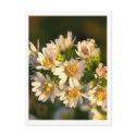 Wildflowers (1) Postcard