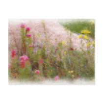 WILDFLOWERS 1 POSTCARD