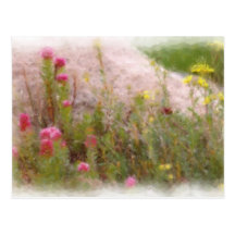 WILDFLOWERS 1 POSTCARD