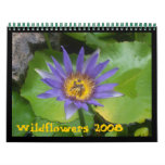 Wildflowers 2008 wall calendar