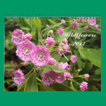 Wildflowers 2012 ~ calendar calendars