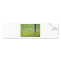 Wildflowers and Barbed Wire Fence Bumper Stickers