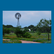 Wildflowers and Windmill Print posters