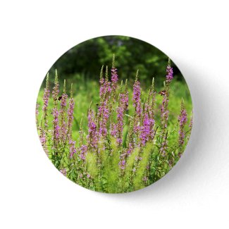 Wildflowers Button button