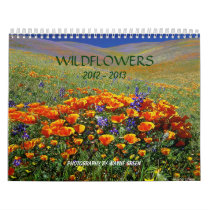 Wildflowers - Calendar for 2012 - 2013