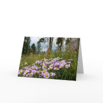 Wildflowers cards