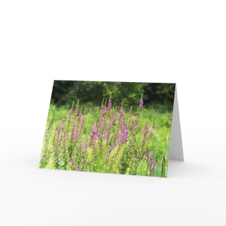 Wildflowers Card card
