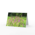 Wildflowers Card