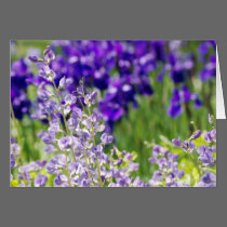 Wildflowers cards