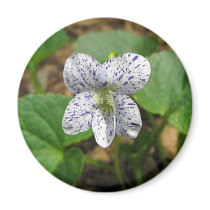 Wildflowers Collection magnets