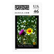 Wildflowers - Estes Park, Co, USA. postage by dreagan07 Wildflowers - Estes Park, Co, USA. postage