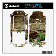 Wildflowers LG Rumor Decal