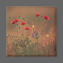 wildflowers magnets by magnetic wildflowers magnets
