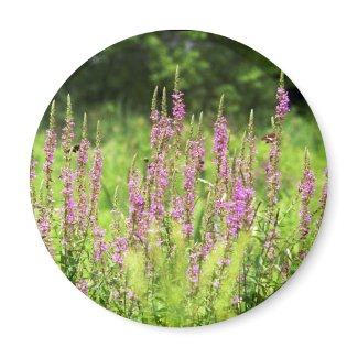 Wildflowers Magnet magnet