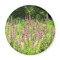 Wildflowers Magnet