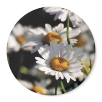 Wildflowers Magnet