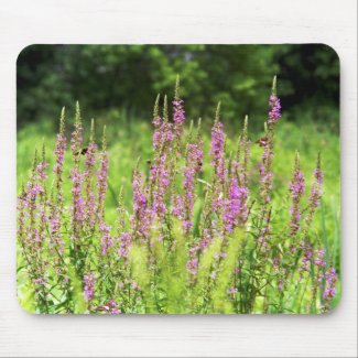 Wildflowers Mousepad mousepad