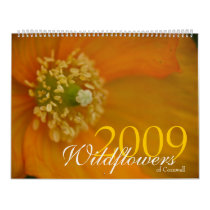 Wildflowers of Cornwall 2009 Calendar by SabineSt Wildflowers of Cornwall 2009 Calendar