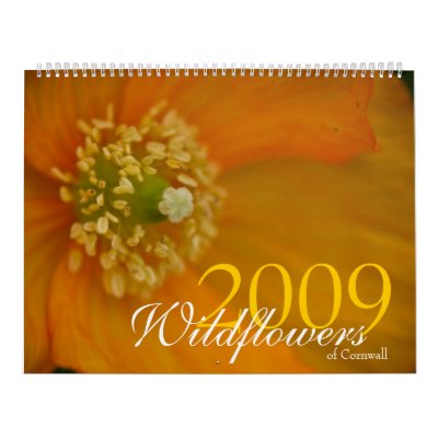 Wildflowers of Cornwall 2009 Calendar by SabineSt