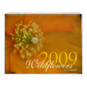 Wildflowers of Cornwall 2009 Calendar