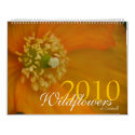 Wildflowers of Cornwall 2010 Calendar by SabineSt Wildflowers of Cornwall 2010 Calendar