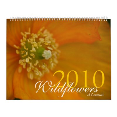 Wildflowers of Cornwall 2010 Calendar by SabineSt