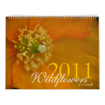 Wildflowers of Cornwall 2011 Calendar