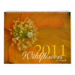 Wildflowers of Cornwall 2011 Calendar style=border:0;