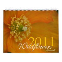 Wildflowers of Cornwall 2011 Calendar