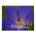 Wildflowers of Europe 2009 Calendar