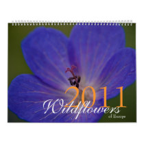 Wildflowers of Europe 2011 Calendar